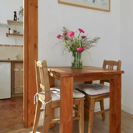 Sea Shell With Balcony Close To The Beach, Centre And Dunes 아파트 *