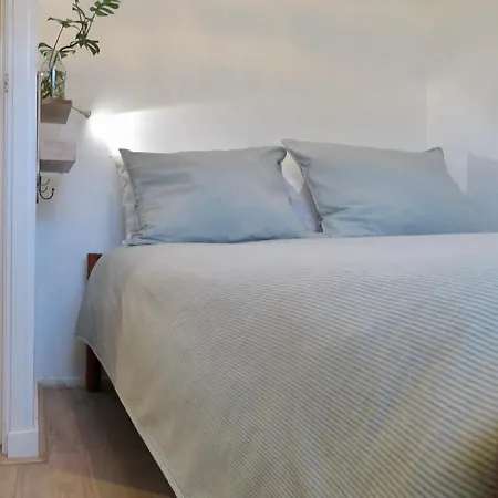Daire Sea Shell With Balcony Close To The Beach, Centre And Dunes Zandvoort